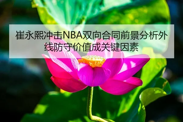 崔永熙冲击NBA双向合同前景分析外线防守价值成关键因素