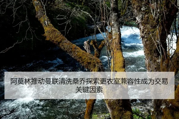 阿莫林推动曼联清洗桑乔探索更衣室兼容性成为交易关键因素